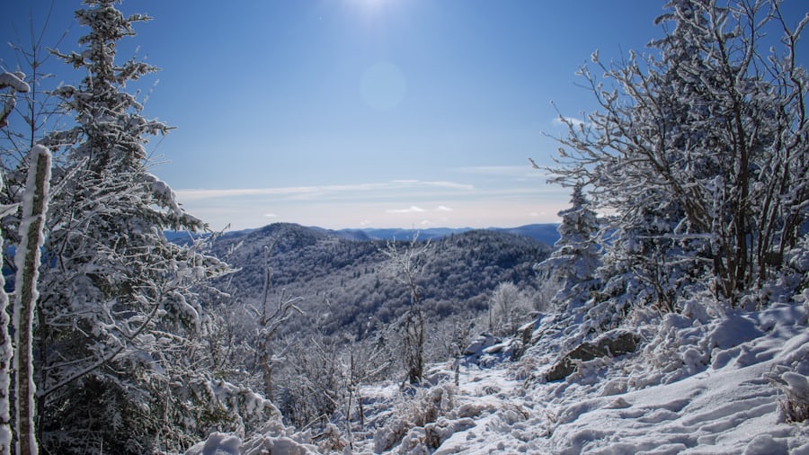 Stowe Mountain Resort
